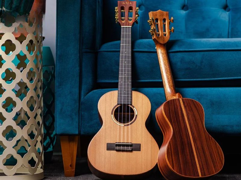 Độ khó khi học Guitar vs Ukulele